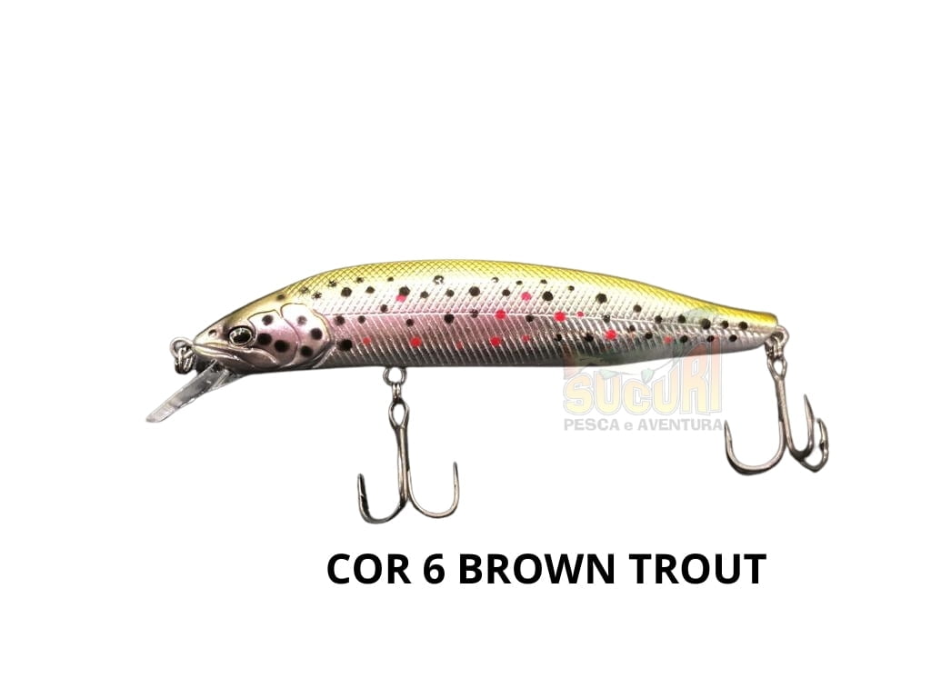 6 BROW TROUT